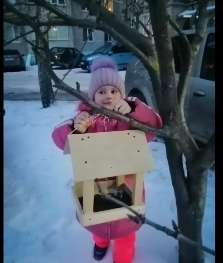 Покормите птиц зимой.